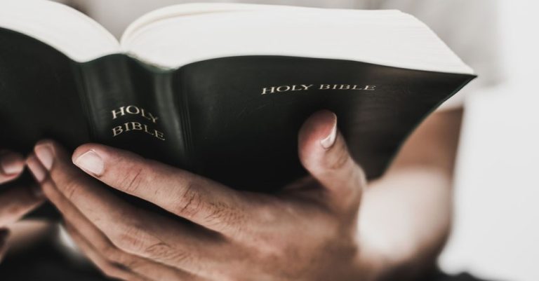 Bible Reading