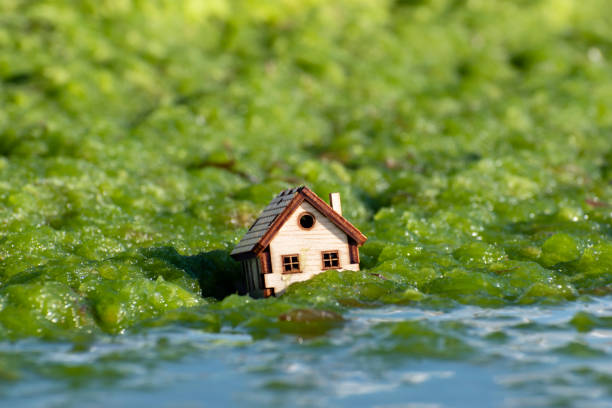 https://snapsellhomebuyers.com/we-buy-houses-kent-ohio/