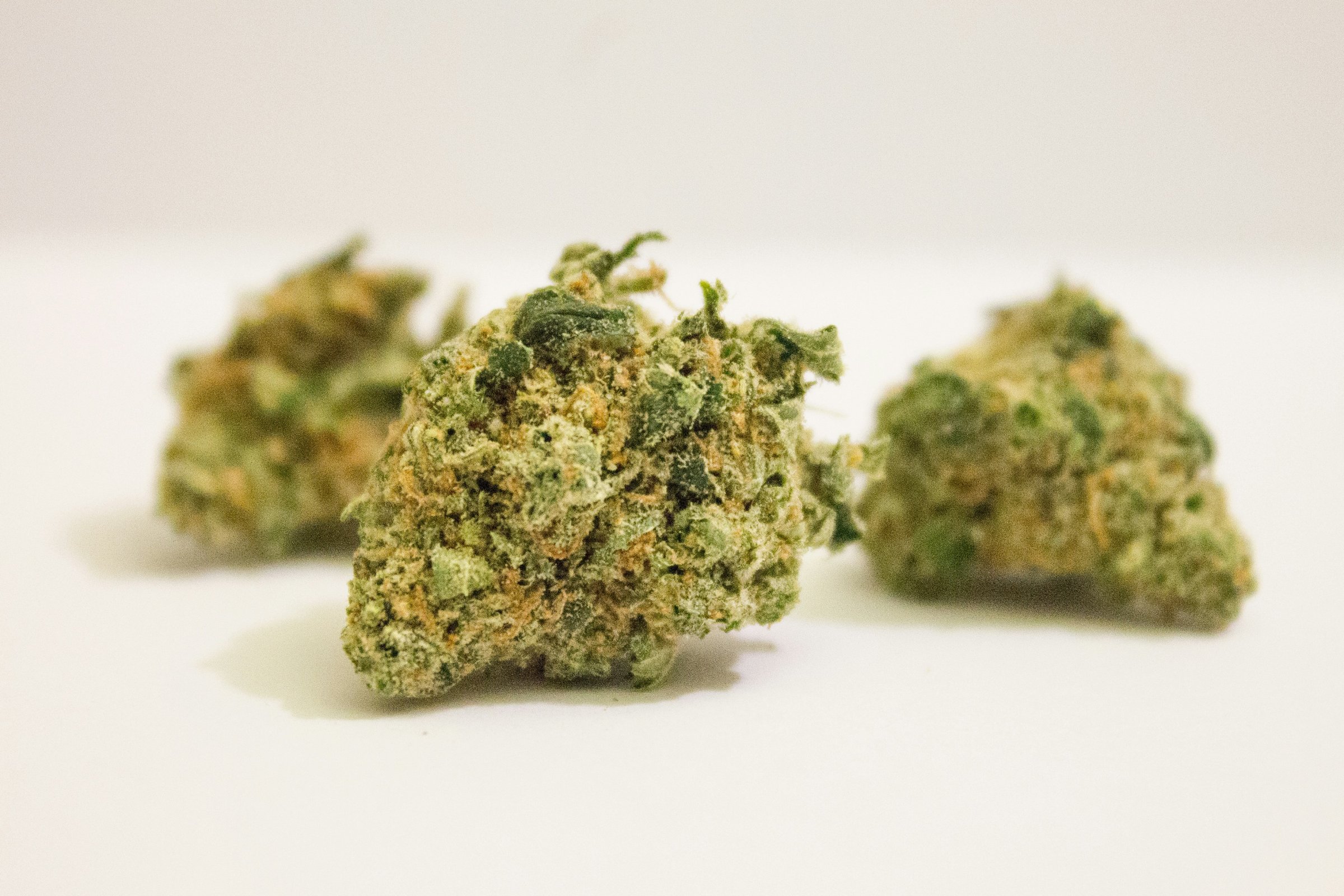 Factors That Influence THCA Flower Freshness and Product Quality